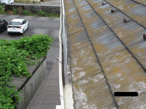 雨樋のチェックも忘れずに　外壁塗装調査