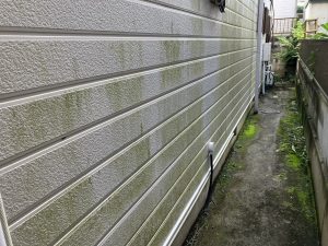 藻・苔のお悩み　外壁塗装現場調査